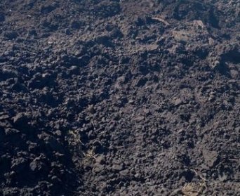 Сапропель с доставкой из карьера водохранилища рыбхоза | Заказ по телефону +79661905566 Растительная земля сапропель. Доставим в Электросталь, Ногинск и Ногинский район.