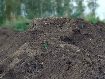 Земля на подсыпку, планировочный грунт, грунт для выравнивания участка | Заказ по телефону +7 Нужно купить грунт на подсыпку Доставим в Электросталь, Ногинск и Ногинский район.