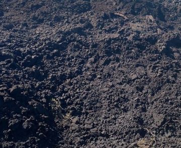 Сапропель с доставкой из карьера водохранилища рыбхоза | Заказ по телефону +79661905566 Растительная земля сапропель. Доставим в Электросталь, Ногинск и Ногинский район.